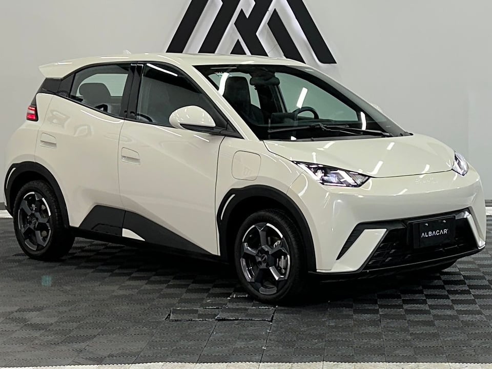 2025 BYD Dolphin Mini