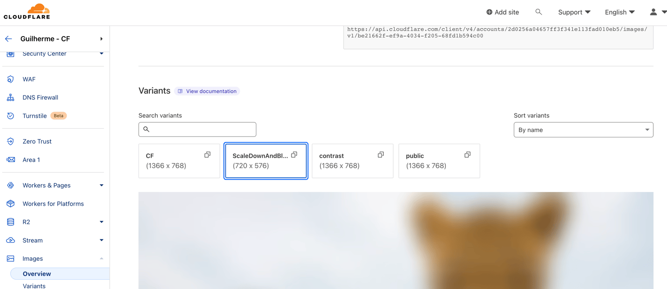 normal_variant_image_5