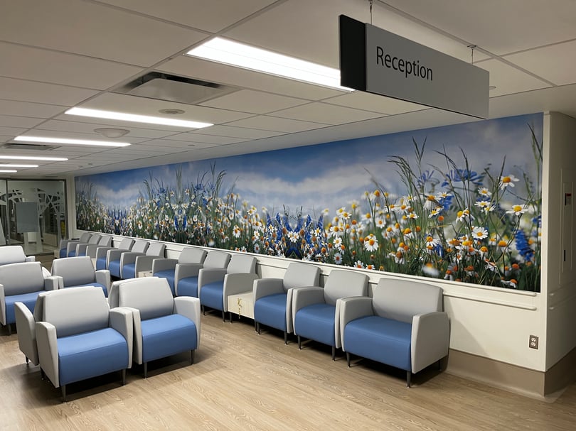 Wall Graphics installation services across Toronto and the GTA