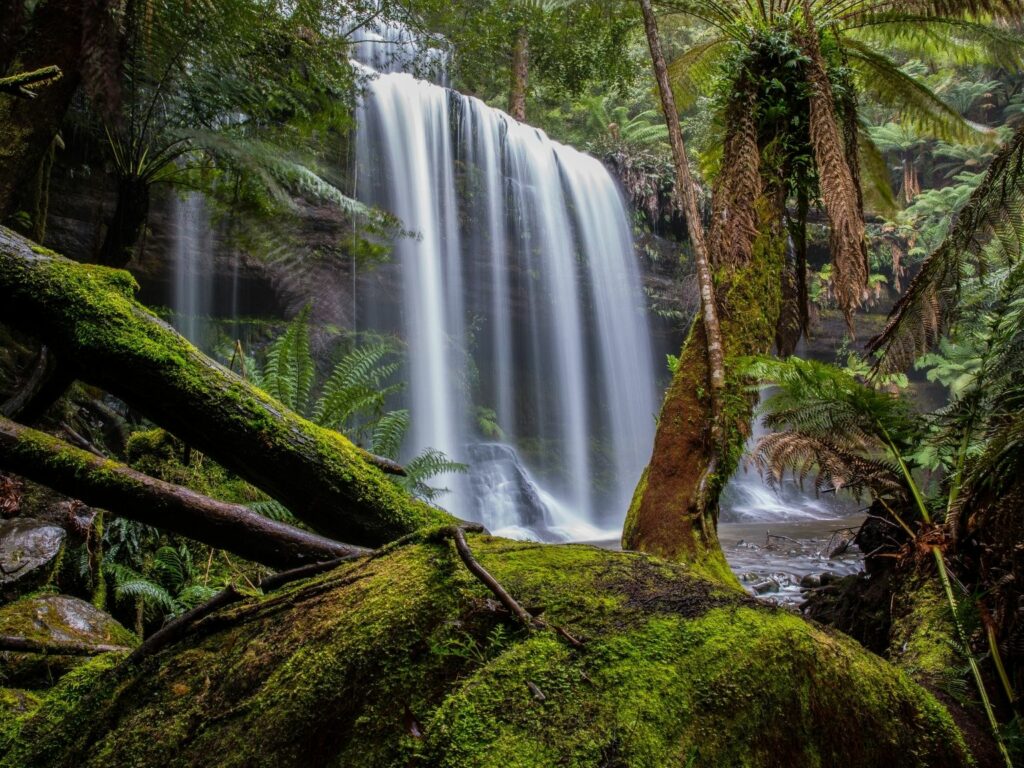 The beautiful waterfall, Russell Falls and the surrounding lush nature