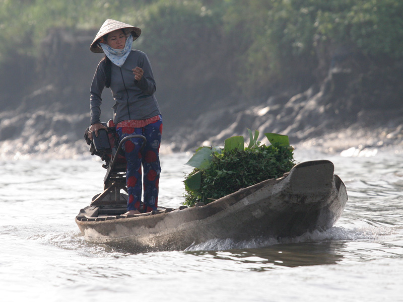 Mekong Delta Vietnam