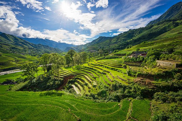 Rice terraces in countryside of Sapa, Vietnam