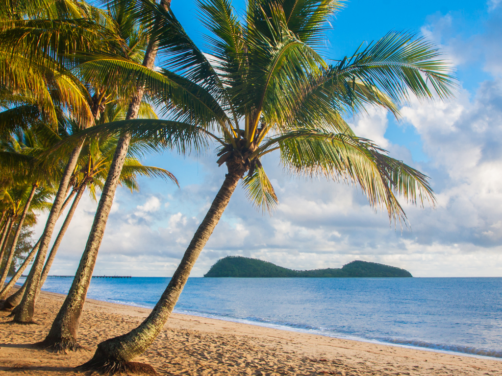 Four palm trees, sandy beach and the ocean