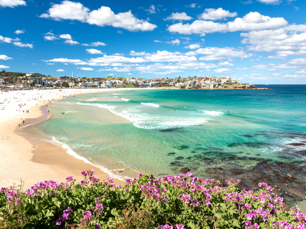 The view of Bondi Beach and the city skyline in the background