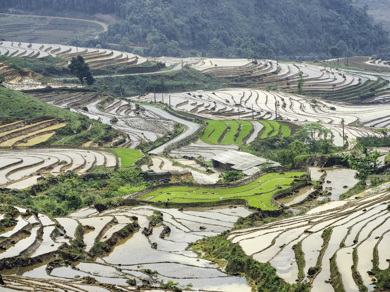 travel in Vietnam