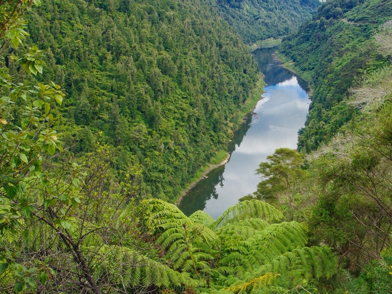 Whanganui National Park New Zealand