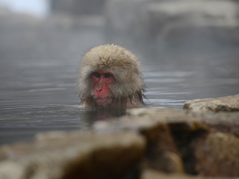 Nagano Japan