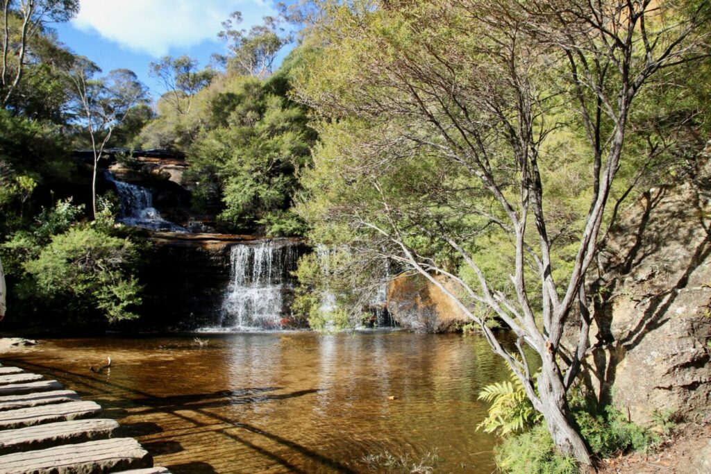 A dam with a small waterhole with green nature surrounding in Blue Mountains