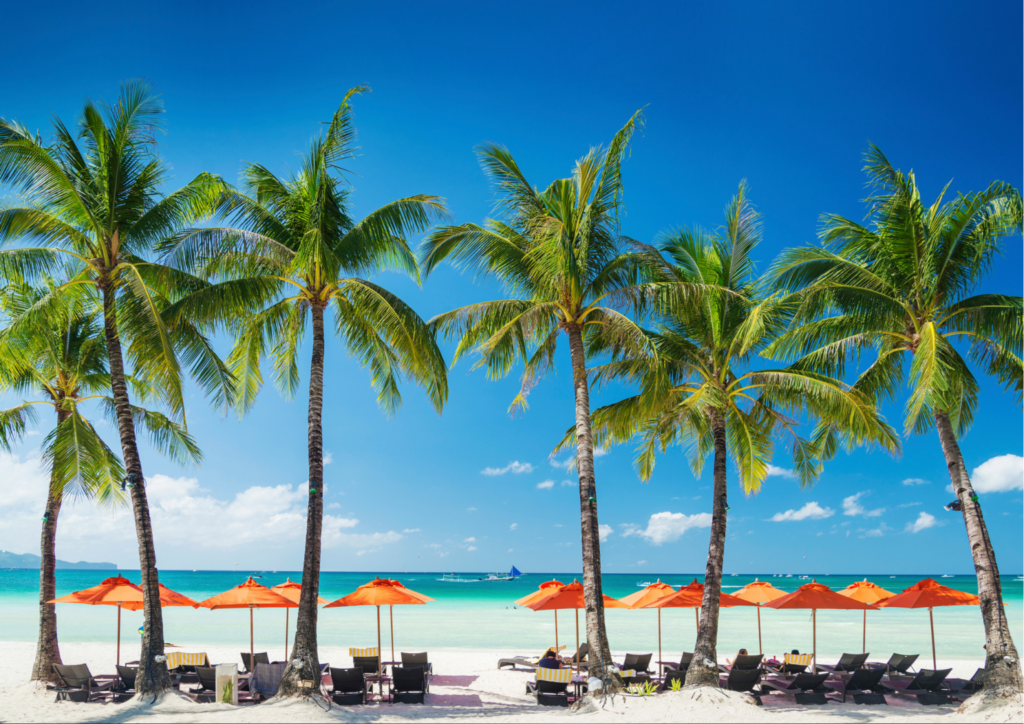 Sun-beds with orange parasols on a white beach with palm trees