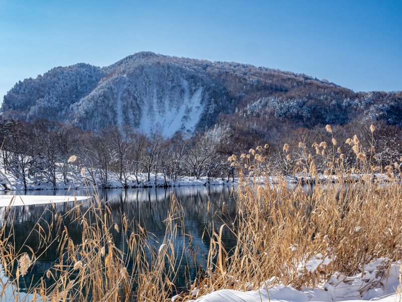 Shiga Kogen National Park Japan