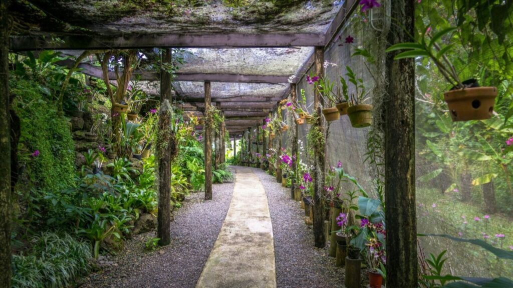 A concrete pathway surrounded with plants and flowers inside of the Garden of the Sleeping Giant