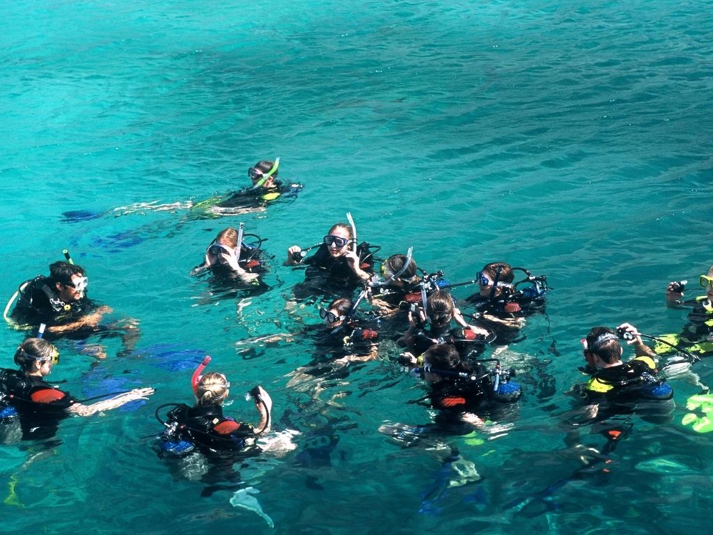 Divers learning from the PADI instructor