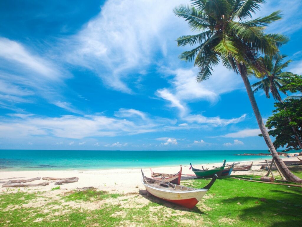 White sandy beach with palmtrees and crystal clear water