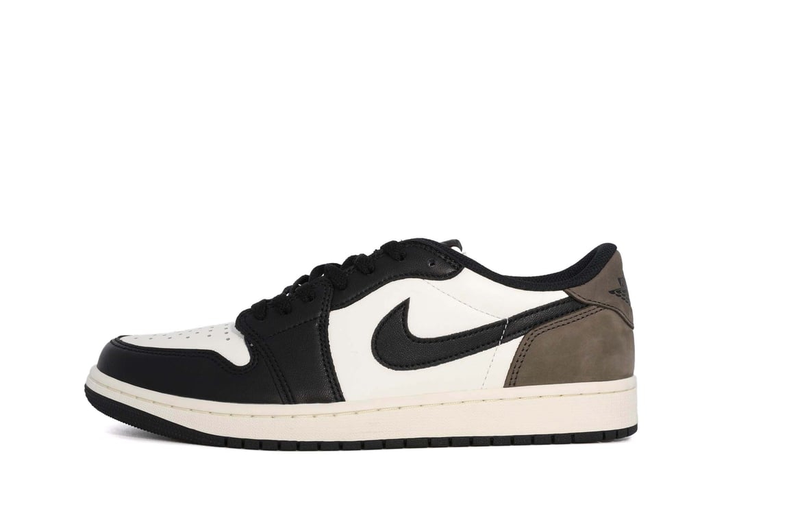 mocha　1028 Addison Rugs Chantille ACN1289MO 10 x 14 (ft) Mocha