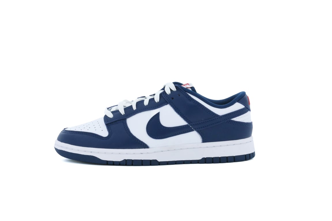 Nike Dunk Low 'Valerian Blue' DD1391-400