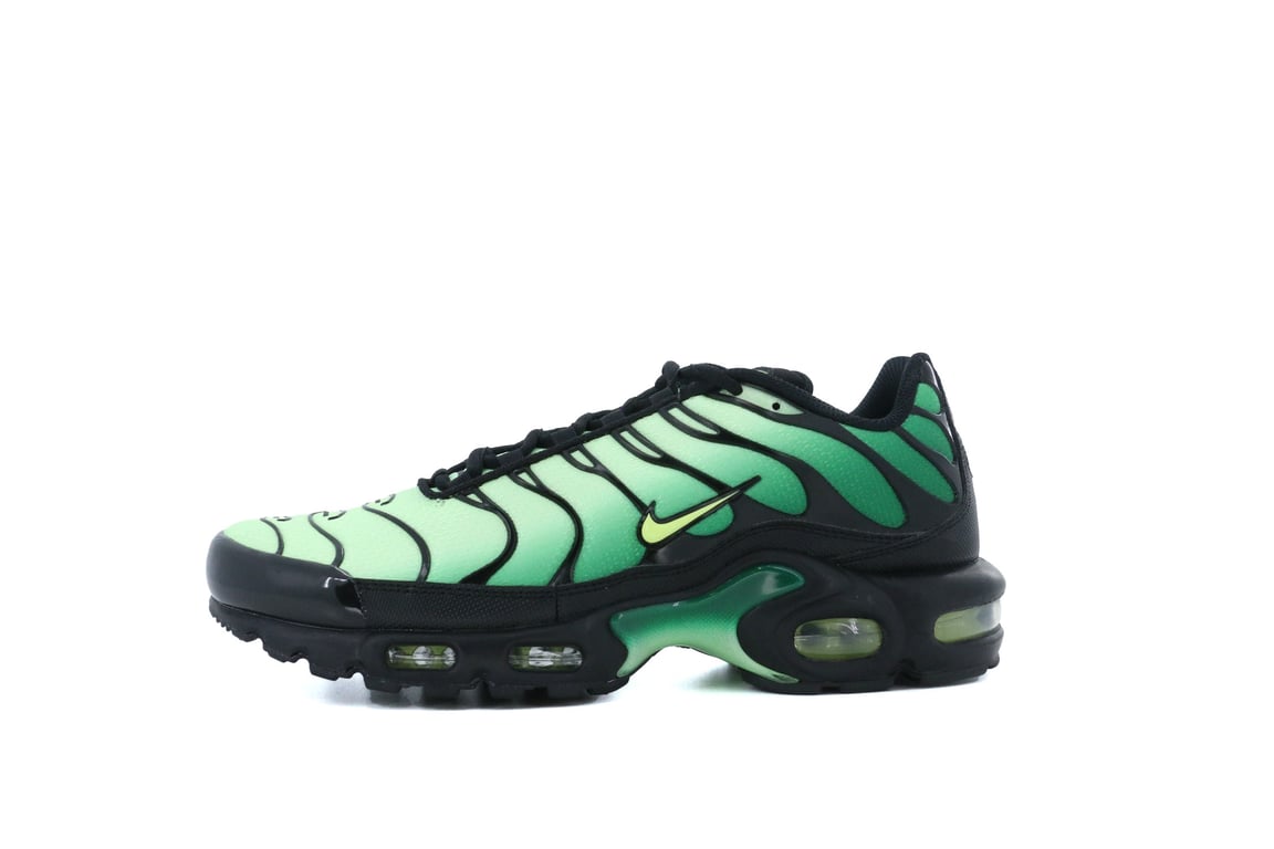 Nike Air Max Plus 'Vapor Green Malachite Black' DM0032-301