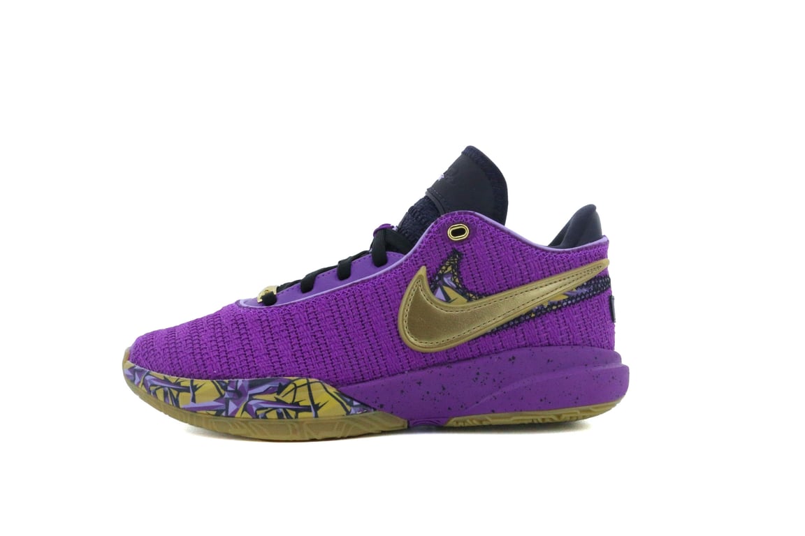 GS) Nike LeBron 20 'Young Heirs' FD0207-500