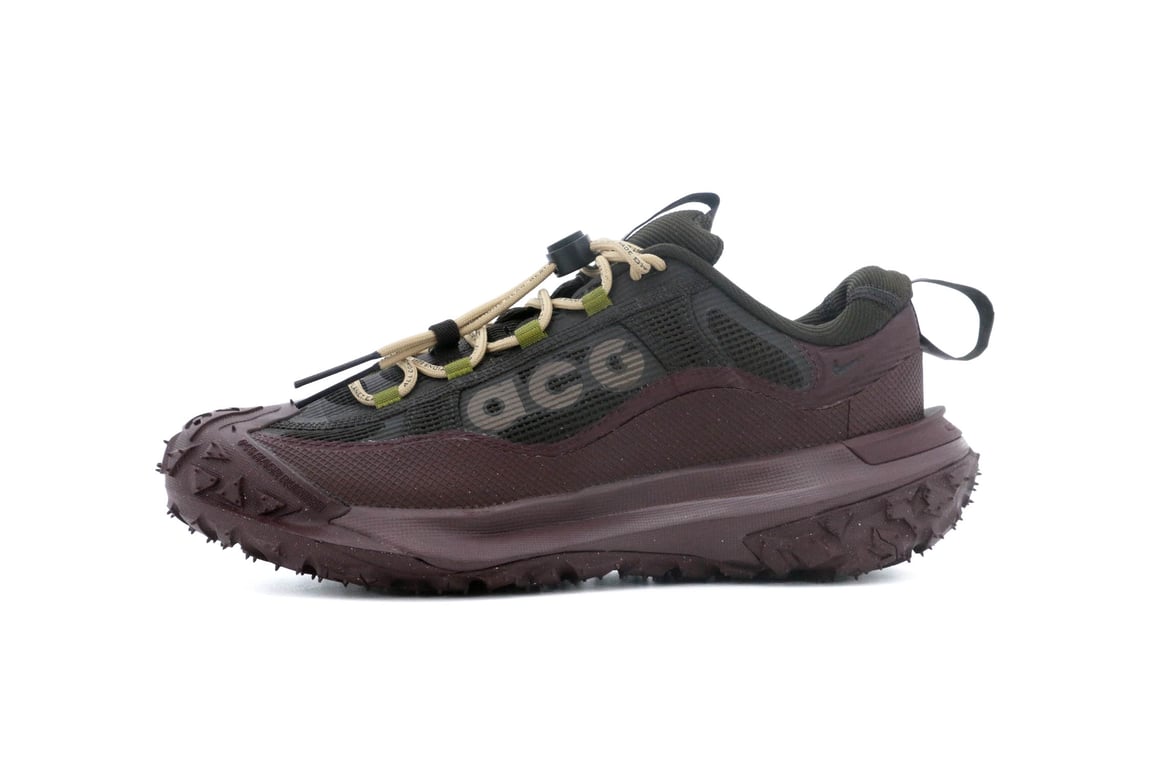 Nike ACG Mountain Fly 2 Low GTX 'Velvet Brown Burgundy