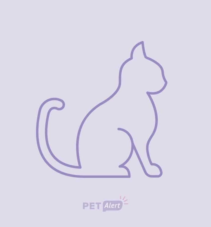 Photo de Animal aperçu