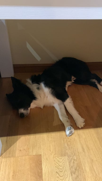 Foto de velaedison18@gmail.com