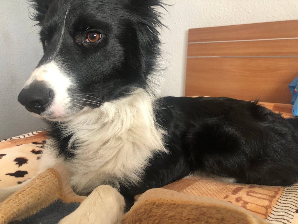 Foto de velaedison18@gmail.com