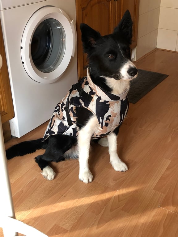 velaedison18@gmail.com