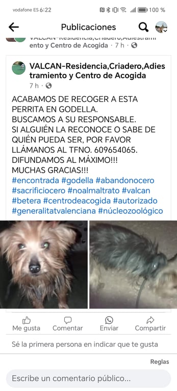 Foto de Animal encontrado