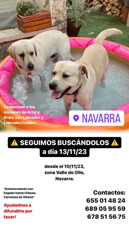 Foto de ARTAY Y BRAIS