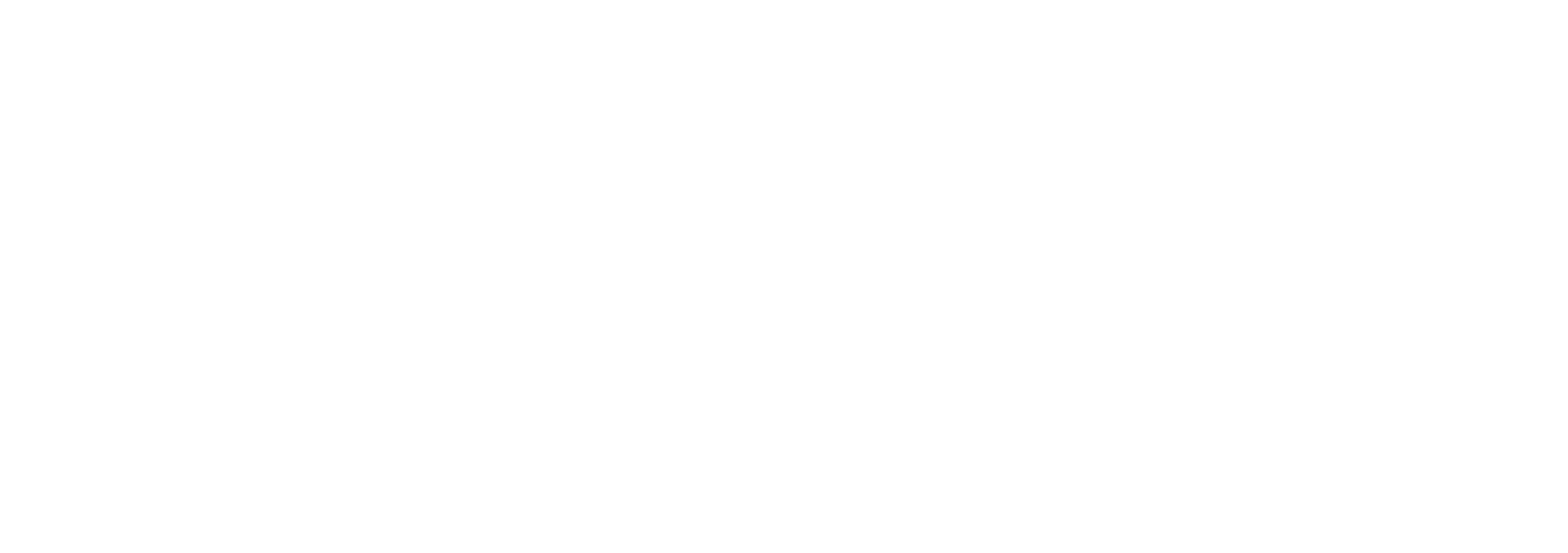 Logo Phynamax