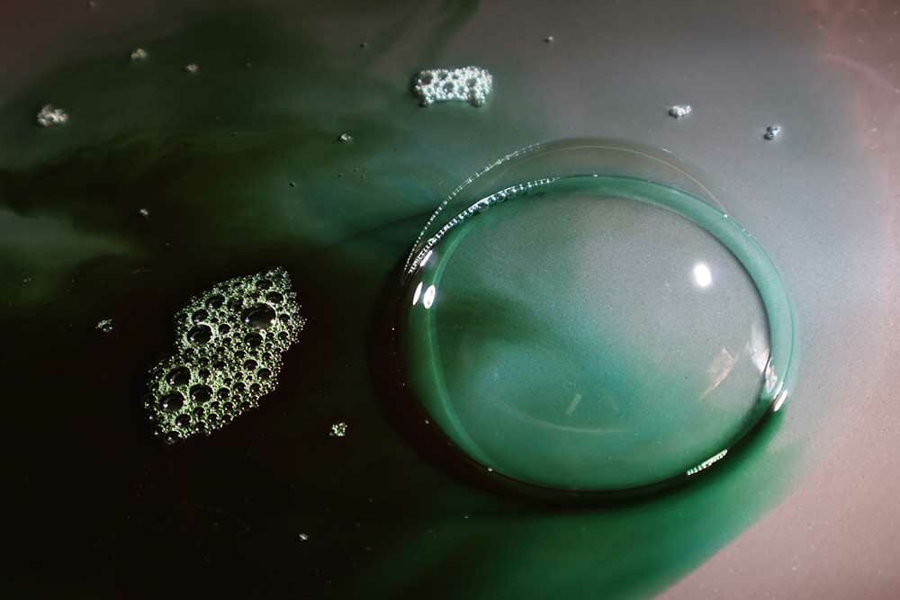 Image by Kim Hamilton (iPhotography Student)