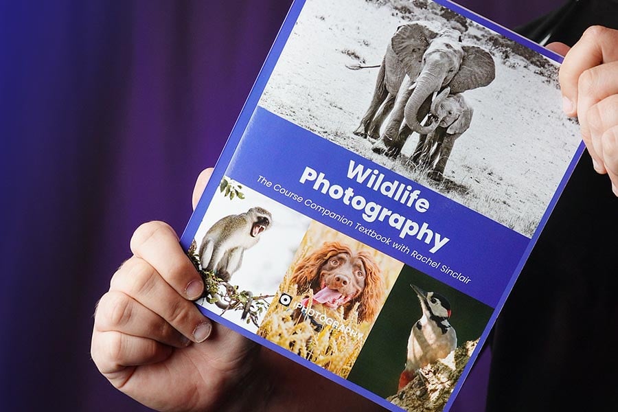 Wildlife Photography: The Complete Guide, a full-colour printed book by iPhotography.