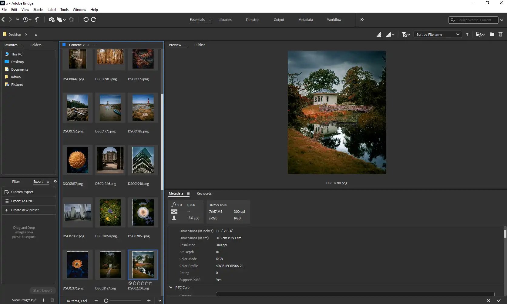 Adobe Creative Cloud Adobe Bridge interface