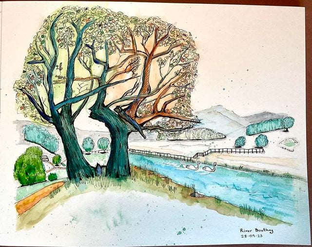 A beautiful watercolor and ink urban sketch depicting a gnarled old tree with a thick, multi-branching trunk standing majestically on the bank of a wide river. The tree's detailed branches are colored with warm earth tones and cool greens, creating dynamic visual interest. In the background, a serene river landscape unfolds with wooden bridges crossing the water, rolling hills in soft blue-gray tones, and scattered trees dotting the countryside. The foreground features green vegetation and sandy riverbank details rendered in soft watercolor washes.