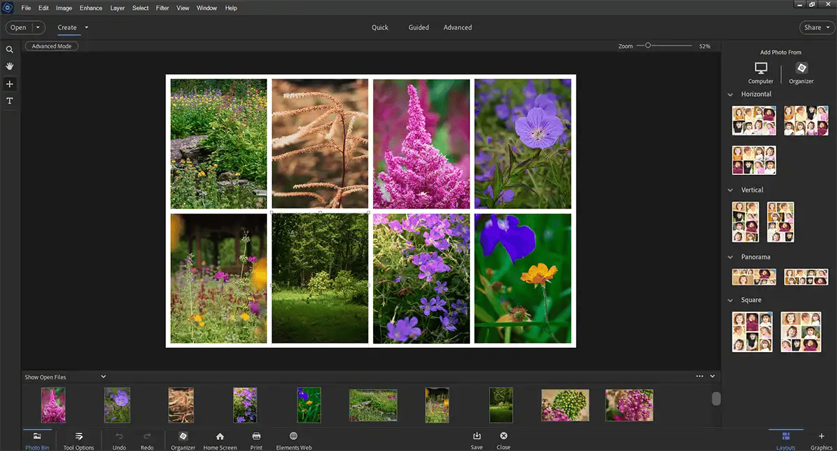 A multi-photo collage built inside Photoshop Elements.