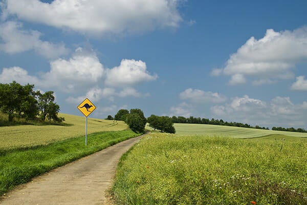 Landscape Photography Tutorial by iPhotography.com