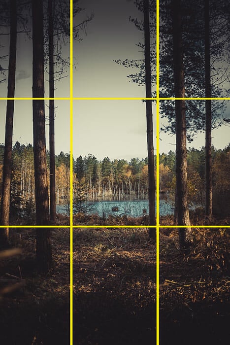 Woodland Photography Tips by iPhotography.com