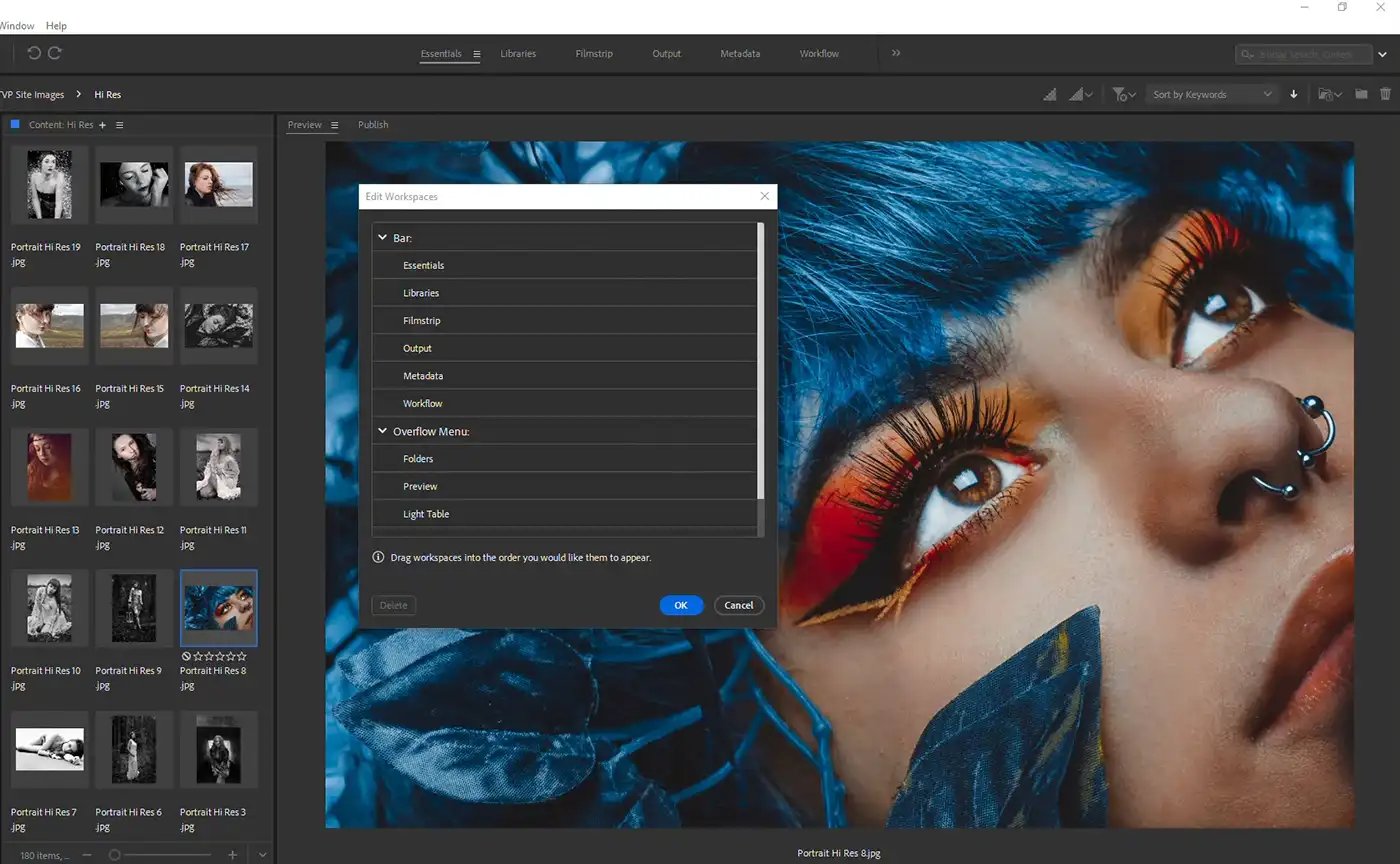 Adobe Bridge Workspace customisation