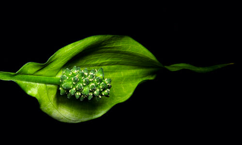 4. improving colour in your photography