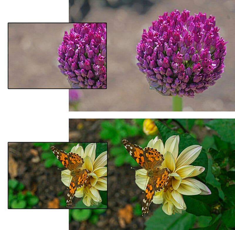 Creative Crops for Photographers by iPhotography.com