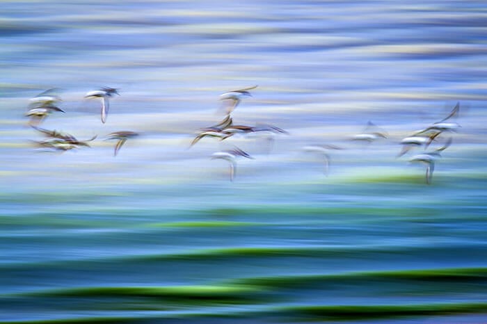 Fine Art Photography Tutorial by iPhotography.com