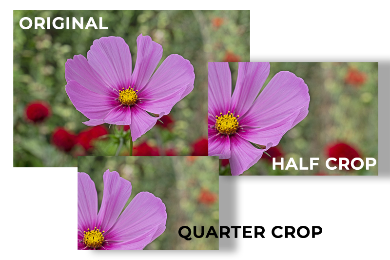Creative Crop Photography Guide by iPhotography.com