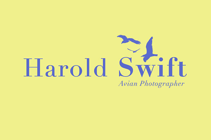 how to create a logo in photoshop