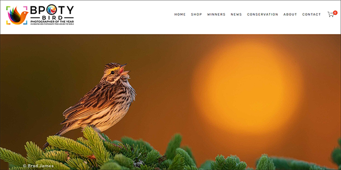 15 Online Photography Competitions and Contests by iPhotography.com