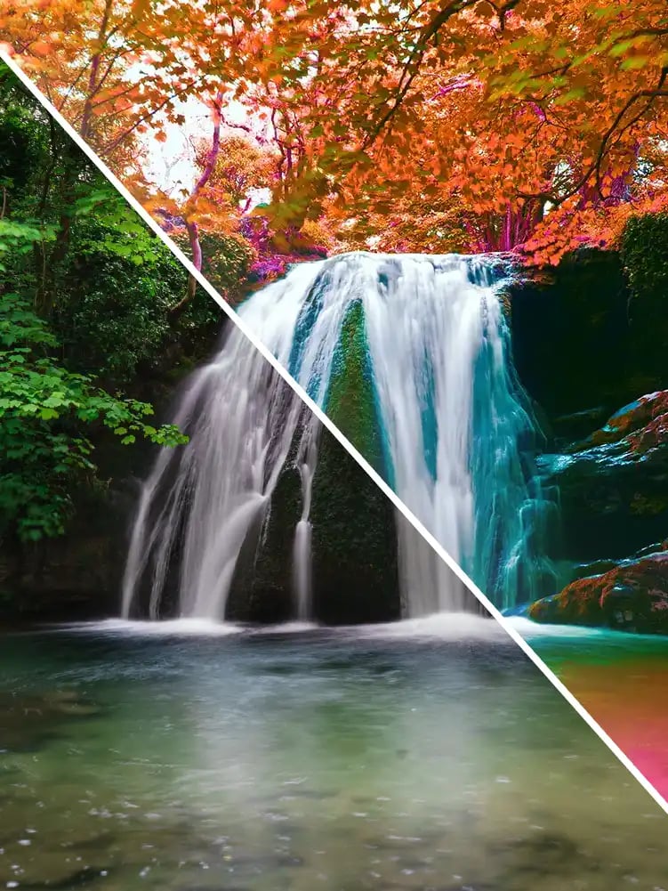 A photograph finished in Adobe Photoshop Elements &mdash; the kind of edit members make after taking the Photoshop Elements Course.