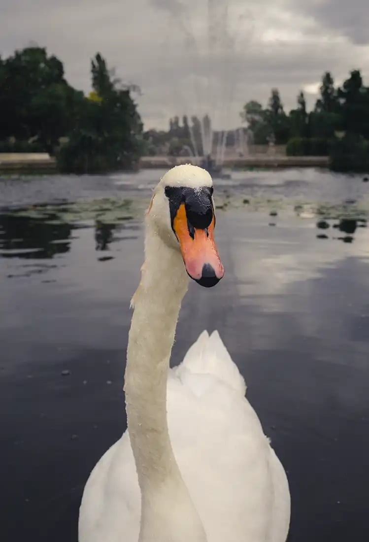 5 Ways to Make a Photo More Interesting 6