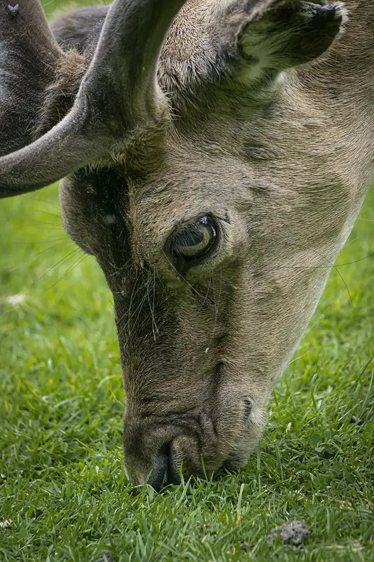 5 Ways to Make a Photo More Interesting 5