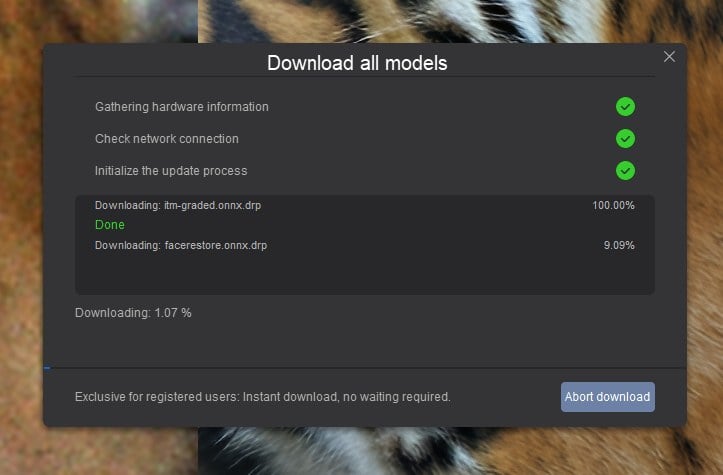 Download all local AI models