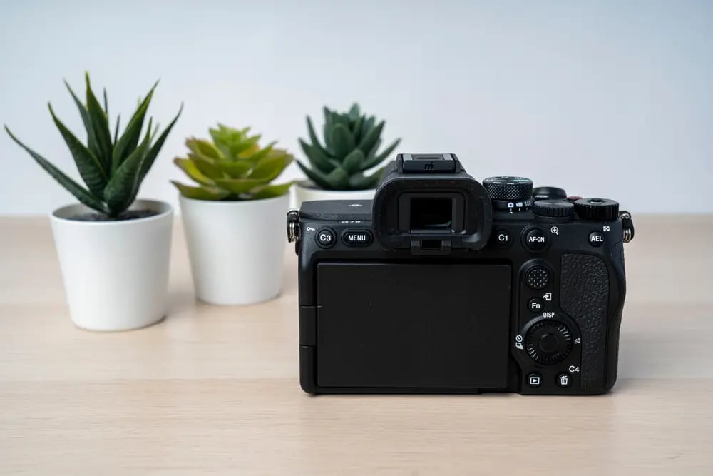 Sony Alpha camera back body