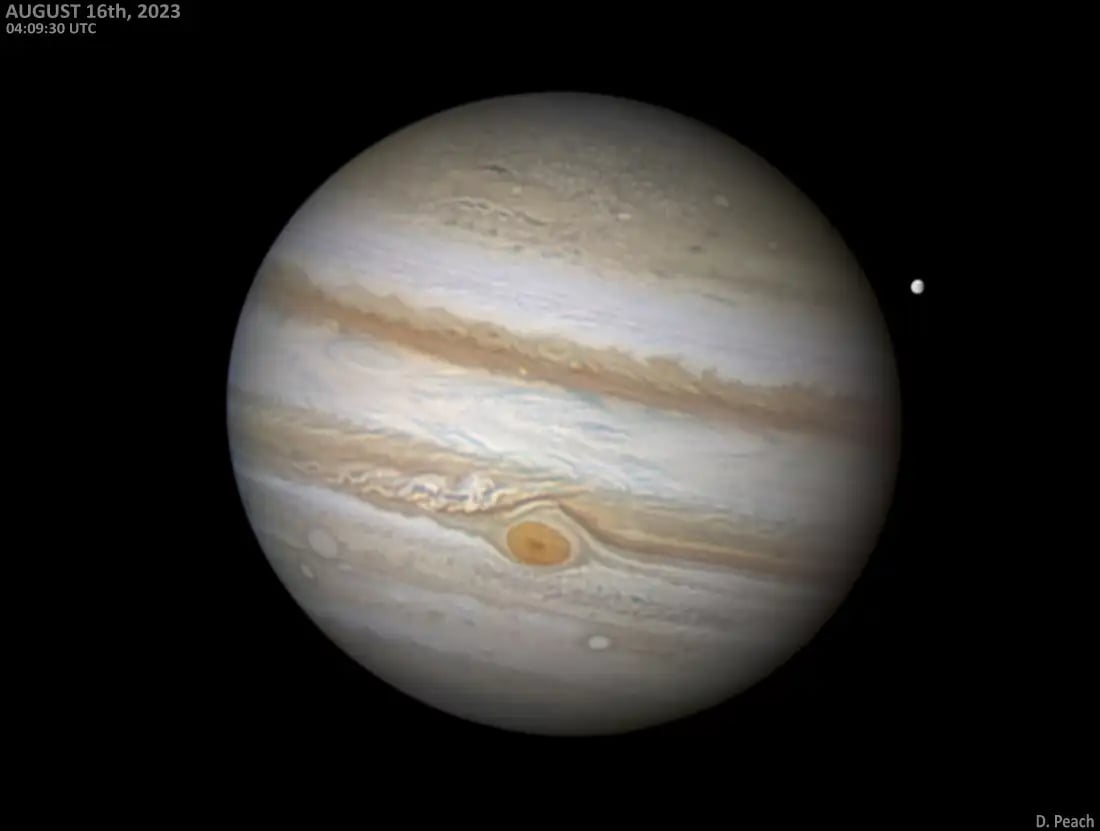 Jupiter by Damian Peach