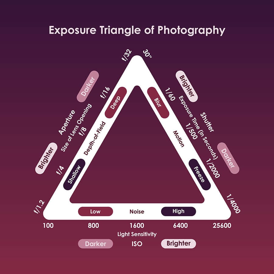 Photography for Beginners 4